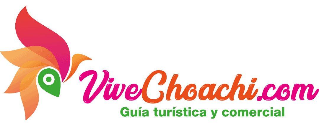 vivechoachi.com logo